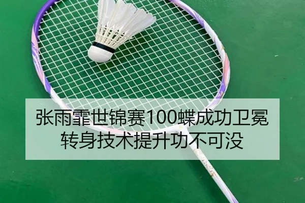 张雨霏世锦赛100蝶成功卫冕 转身技术提升功不可没
