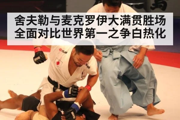 舍夫勒与麦克罗伊大满贯胜场全面对比世界第一之争白热化