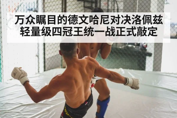 万众瞩目的德文哈尼对决洛佩兹轻量级四冠王统一战正式敲定